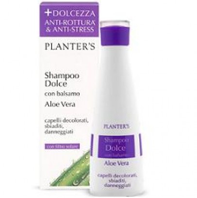 PLANTERS  SH DOLCE ALOE VERA