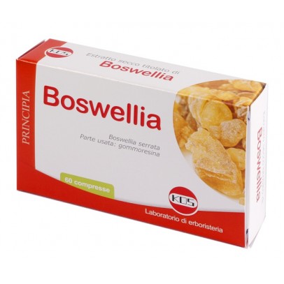 BOSWELLIA ES.SEC 60CPR 24G KOS