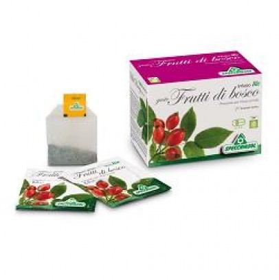 INFUSO BIO FR/BOSC 20FILT SPECCH