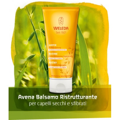 AVENA BALSAMO CAPELLI 200ML WE