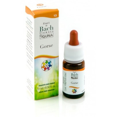 GORSE 13 10ML GTT BACH GUNA