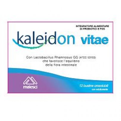 KALEIDON VITAE 12BUSTINE