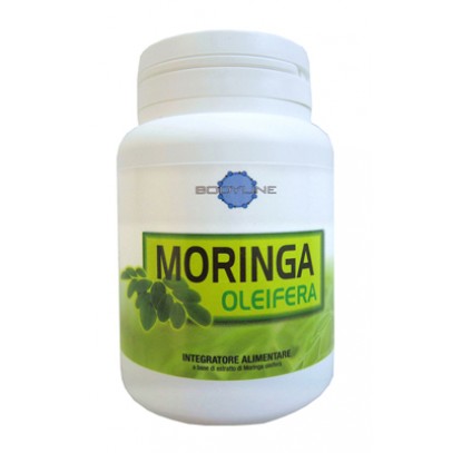 MORINGA OLEIFERA 60CPS BODYLINE