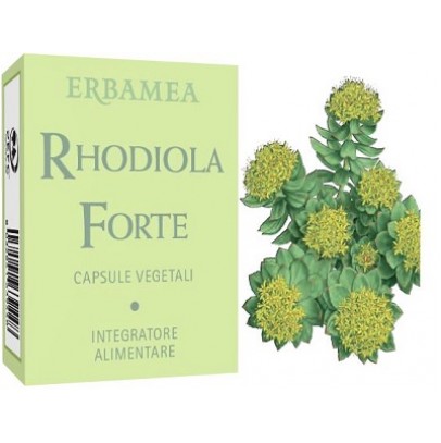 RHODIOLA FORTE CAPSULE ERBAMEA