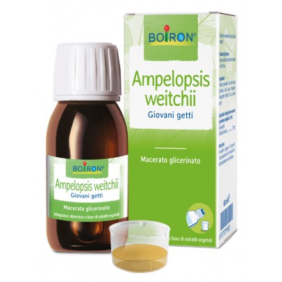 AMPELOPSIS WEI MG 60ML INT BO