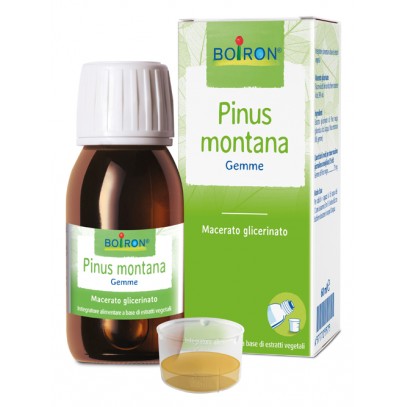 PINUS MONTANA MG 60ML INT BO