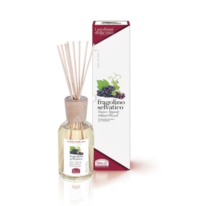 I PROFUMI DELLA CASA FRAGOLINO SELVATICO-BASTONCINI AROMATICI 100 ML I PROFUMI DELLA CASA FRAGOLINO SELVATICO-BASTONCINI AROMATICI 100 ML
